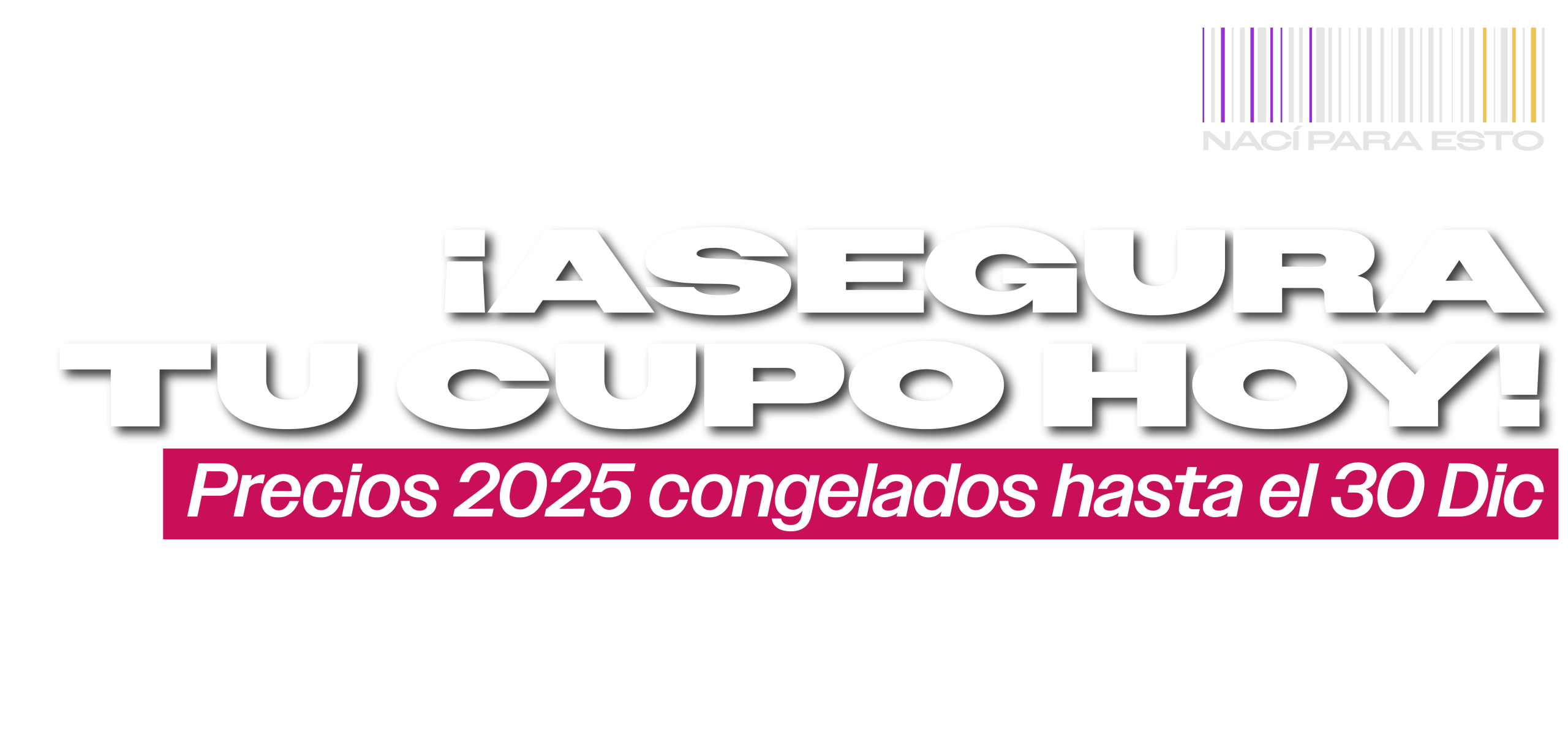 Banner Página Web2 05